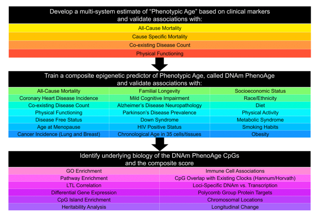 Bio Aging Data