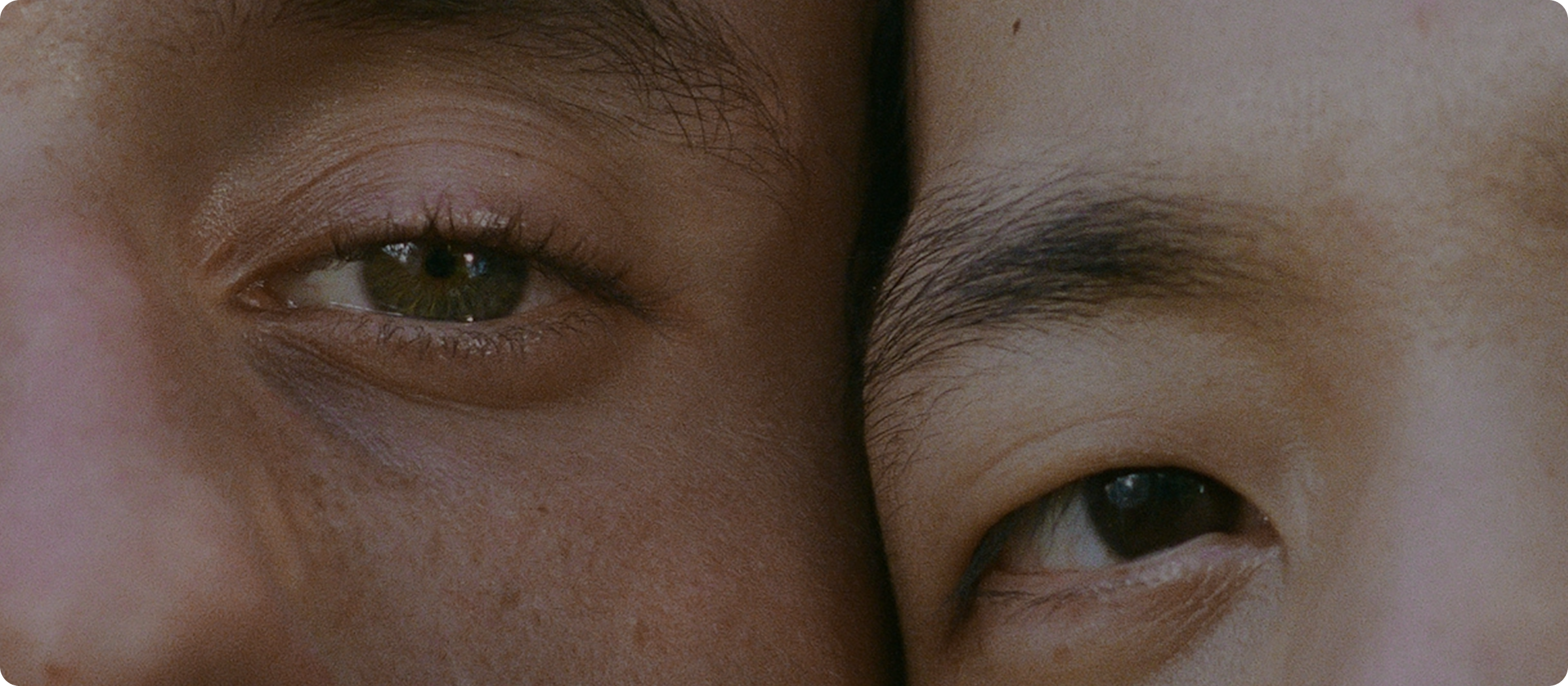 close-up-faces