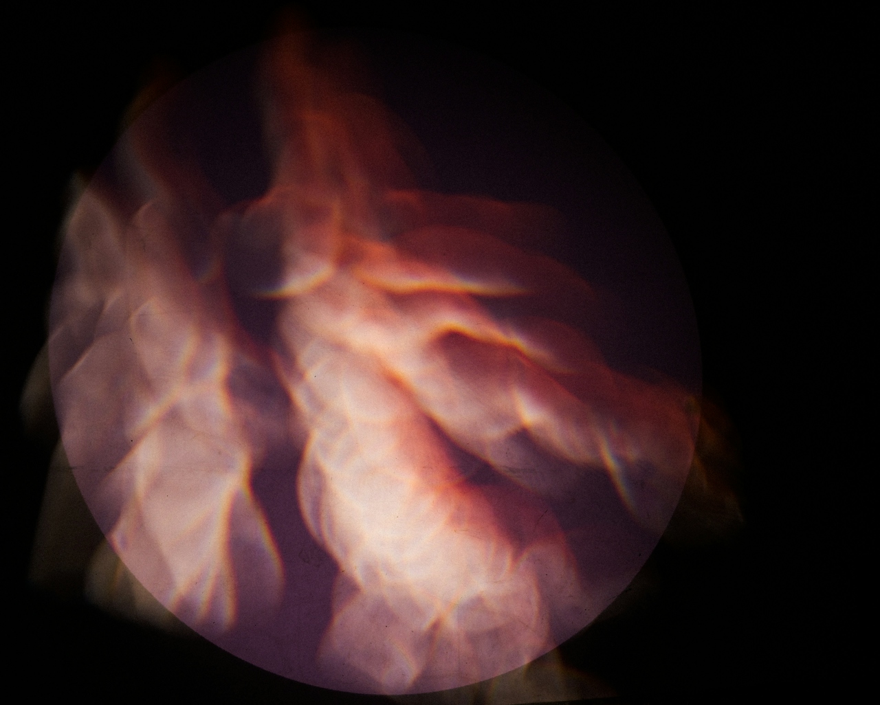 macro science image