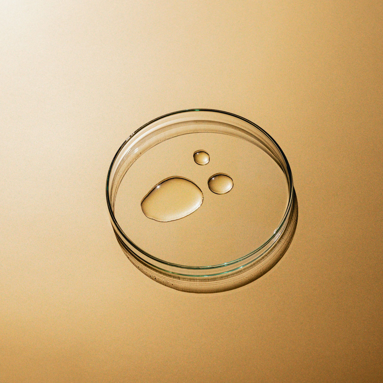 liquid in petri dish