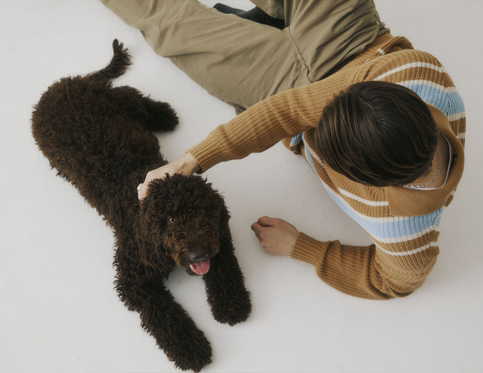 How Longevity Science Could Extend Dog Lifespan