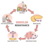 The Ultimate Metformin Guide | AgelessRx