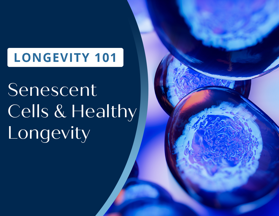 Longevity 101: Senescent Cells & Healthy Longevity