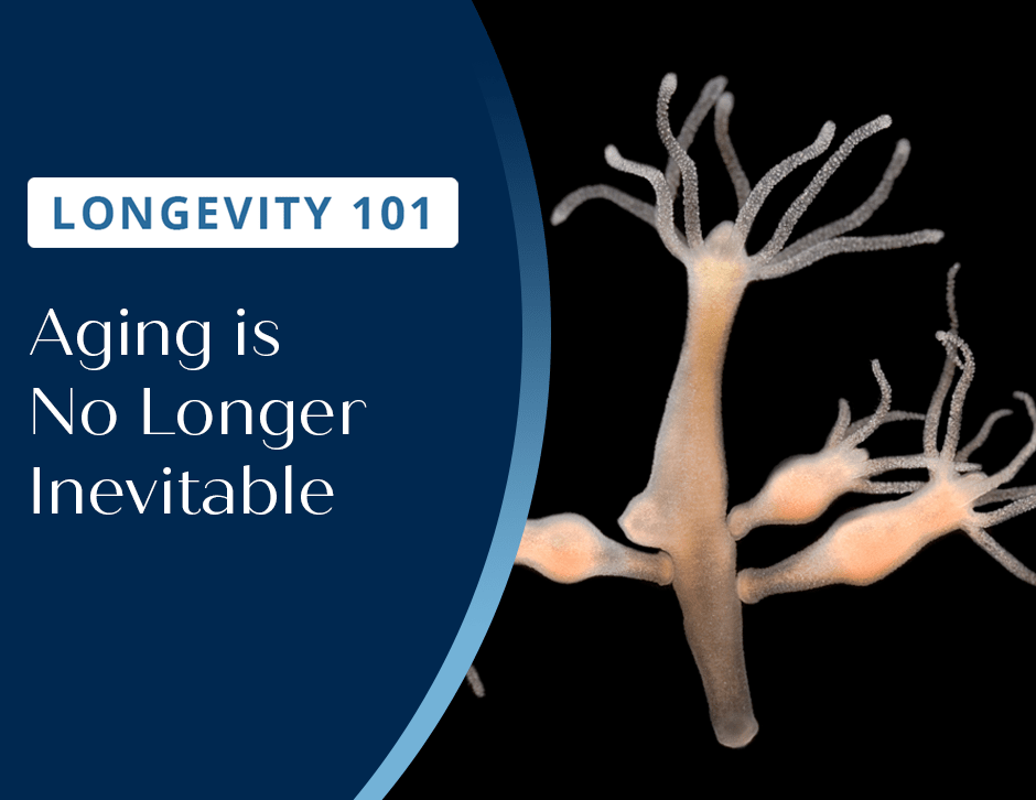 Longevity 101: Aging is No Longer Inevitable