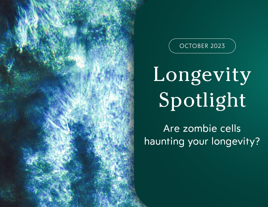 Longevity Spotlight: Are Zombie Cells Haunting Your Longevity?