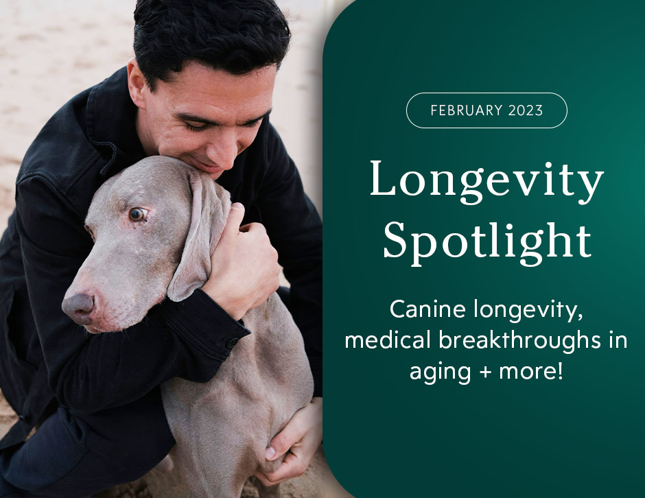 Longevity Spotlight February 2023