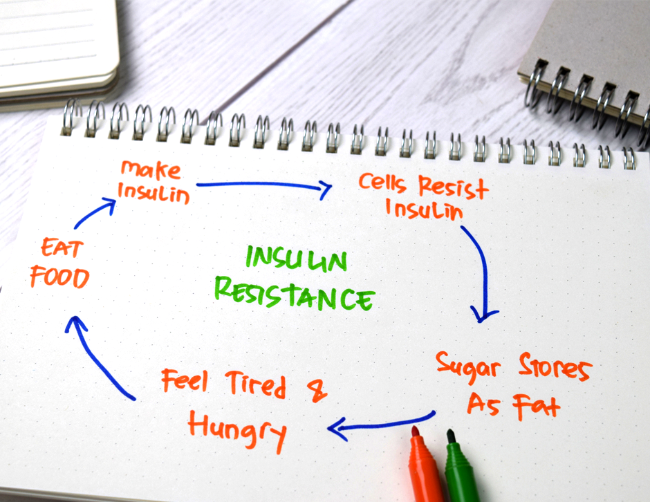 Metformin & Insulin Resistance: A Pretty Sweet Intervention