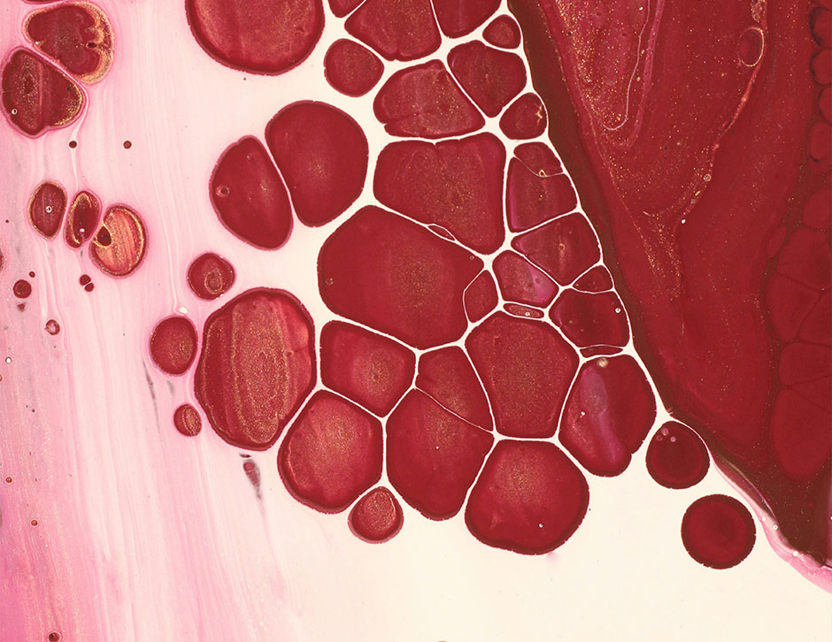 What Is Atorvastatin?