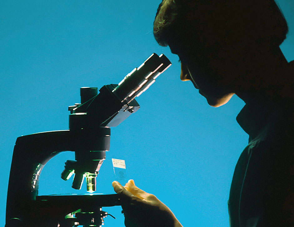 What Is the Interventions Testing Program (ITP)?