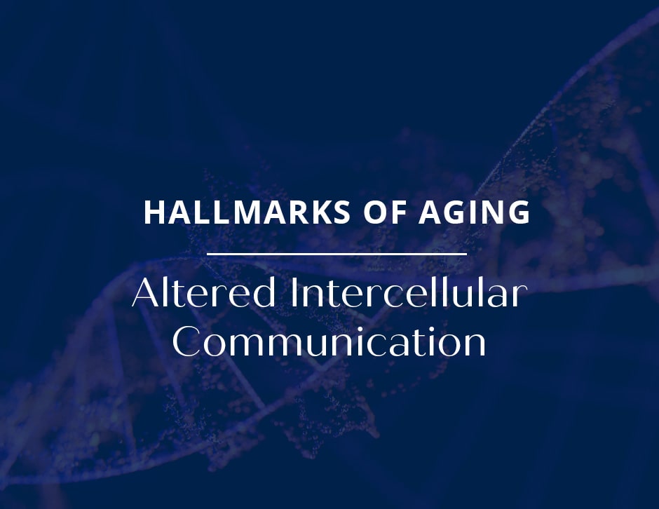 Hallmarks of Aging: Altered Intercellular Communication
