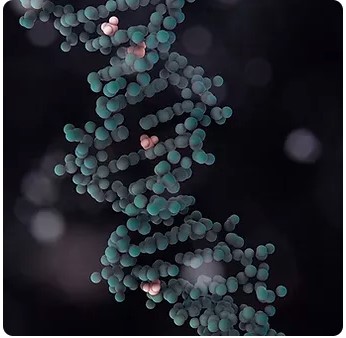 Can Biological Age Be Reversed?