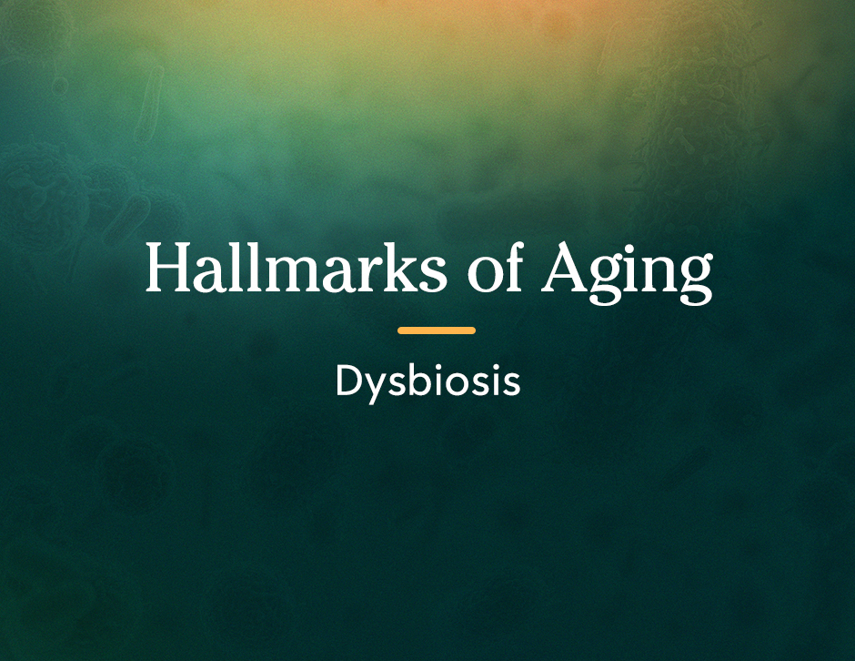 Hallmarks of Aging: Dysbiosis