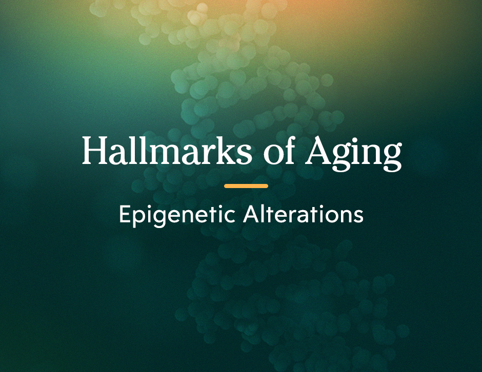 Hallmarks of Aging: Epigenetic Alterations