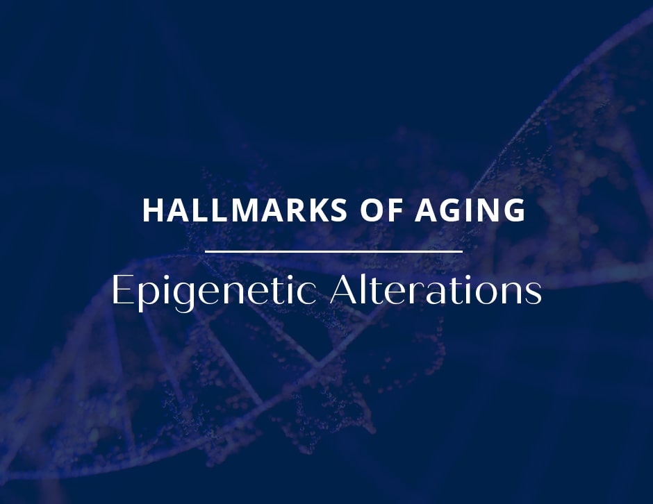 Hallmarks of Aging: Epigenetic Alterations