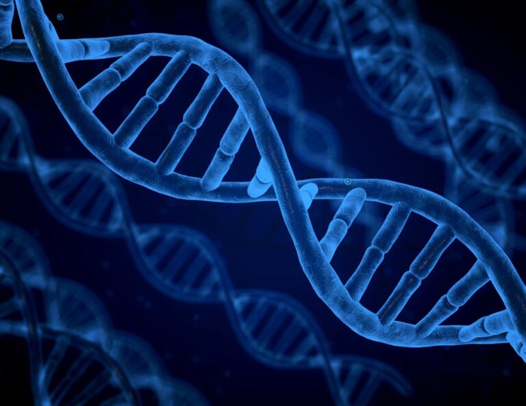 Modifications & How to Change Them AgelessRx