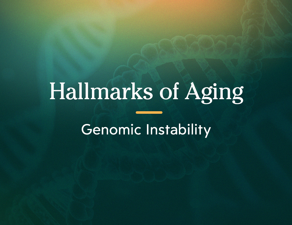 Hallmarks of Aging: Genomic Instability