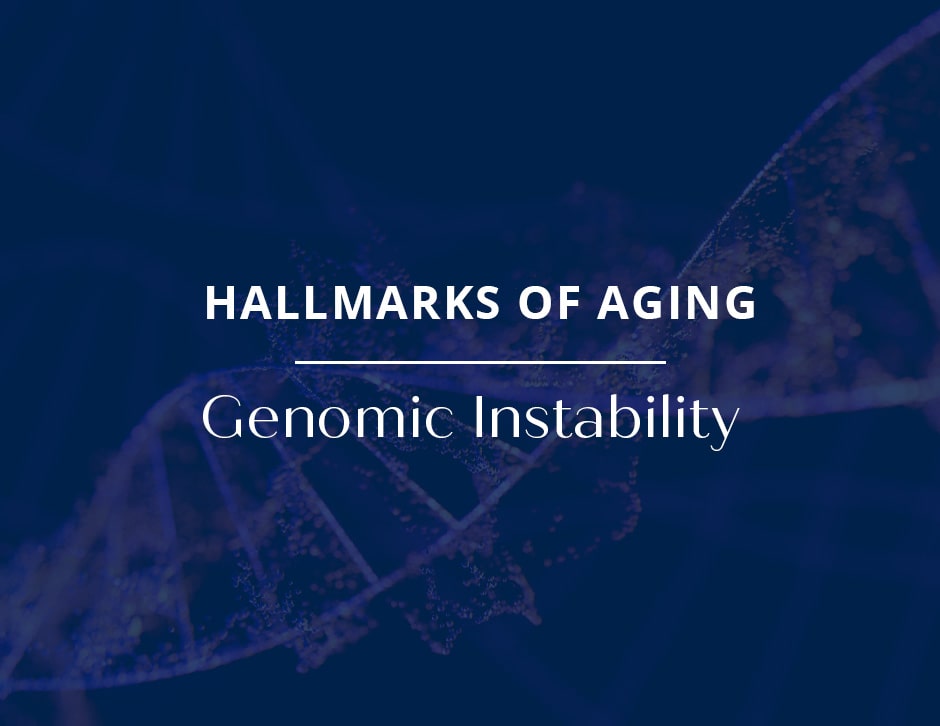 Hallmarks of Aging: Genomic Instability