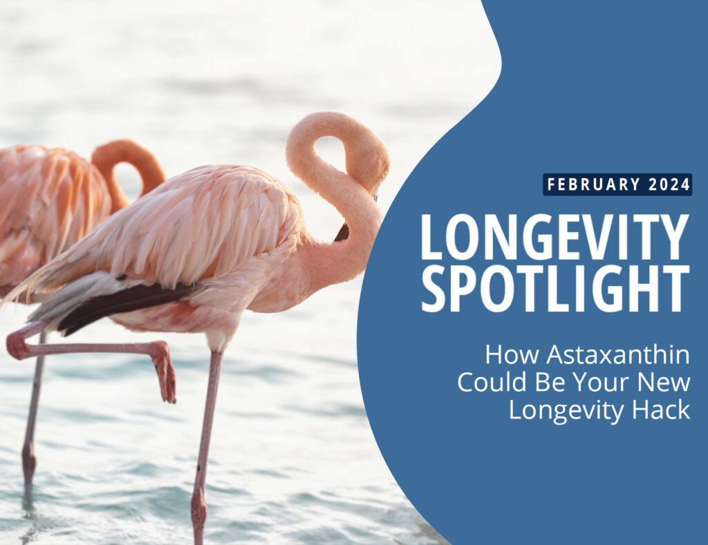 How Astaxanthin Could Be Your New Longevity Hack