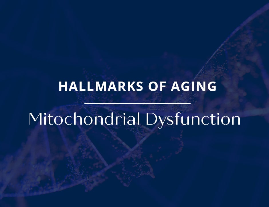 Hallmarks of Aging: Mitochondrial Dysfunction