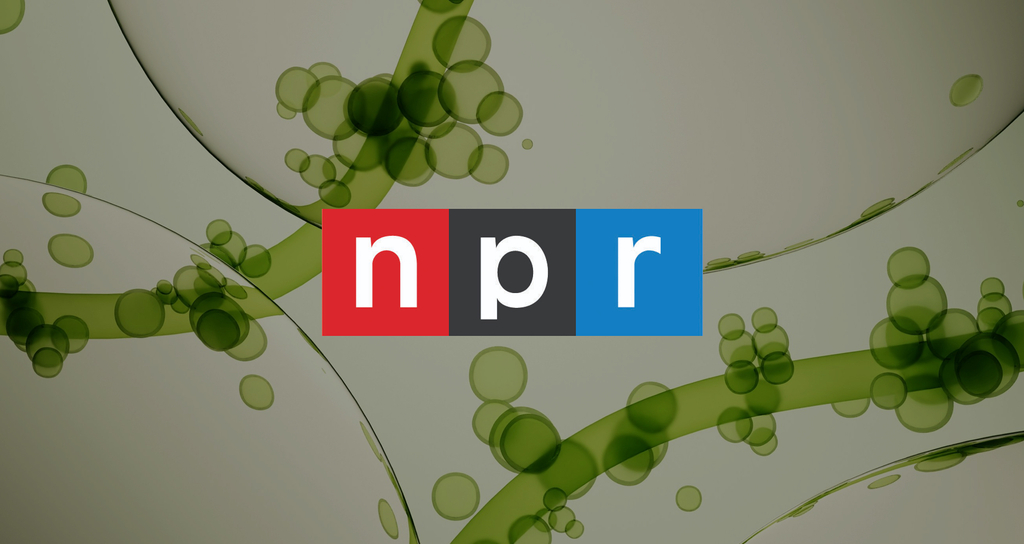 Why NPR Asked Our Medical Director About Tadalafil for Longevity