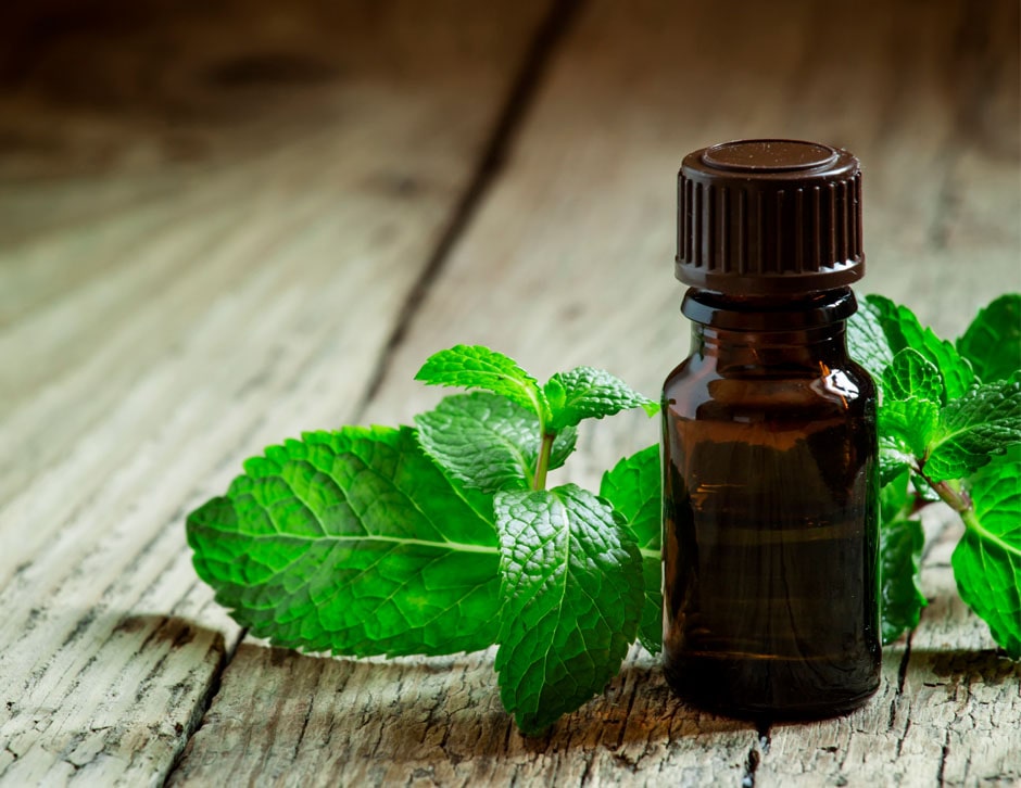 Bottle of peppermint oil with leaves around it