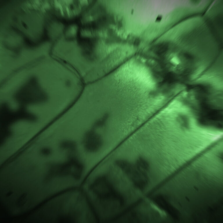 Clears “zombie” cells