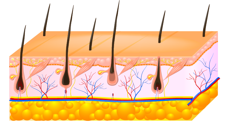 Powers Hair Solution Science | AgelessRx