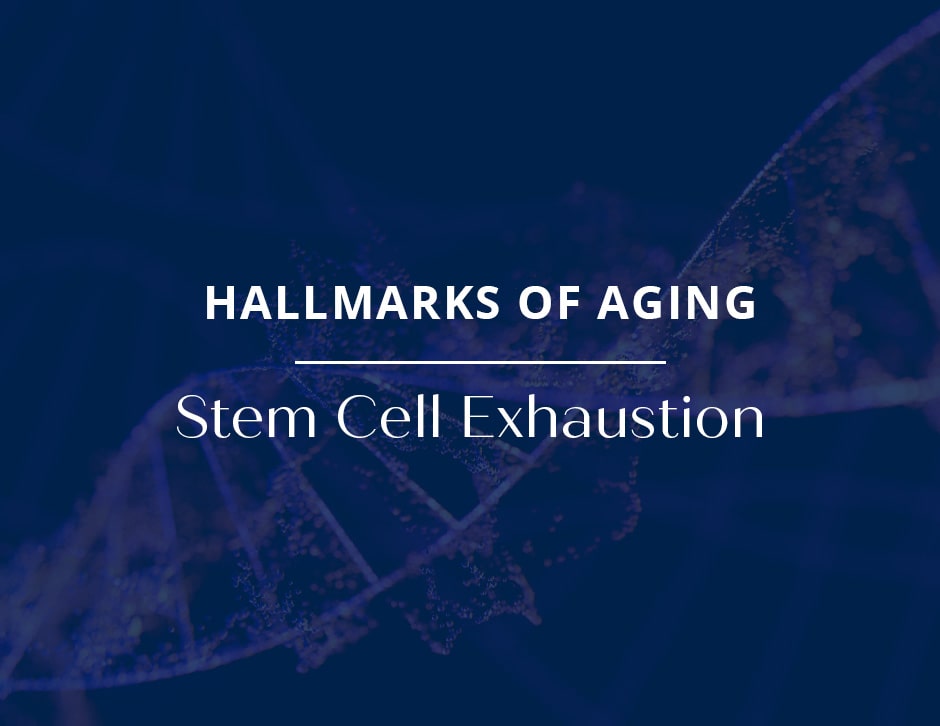 Hallmarks of Aging: Stem Cell Exhaustion