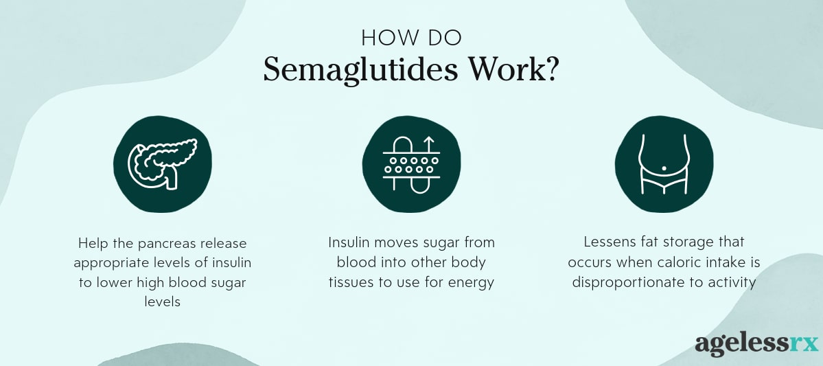 Infographic showing how semiglutides work