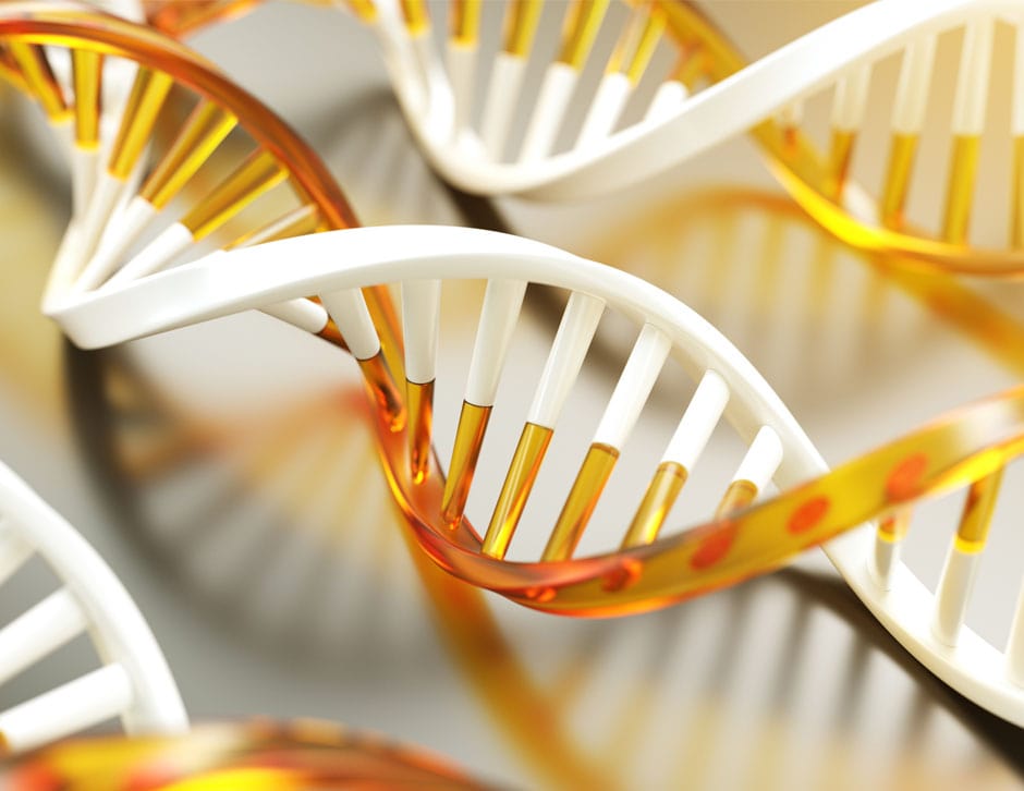 What is Epigenetic Methylation Testing?